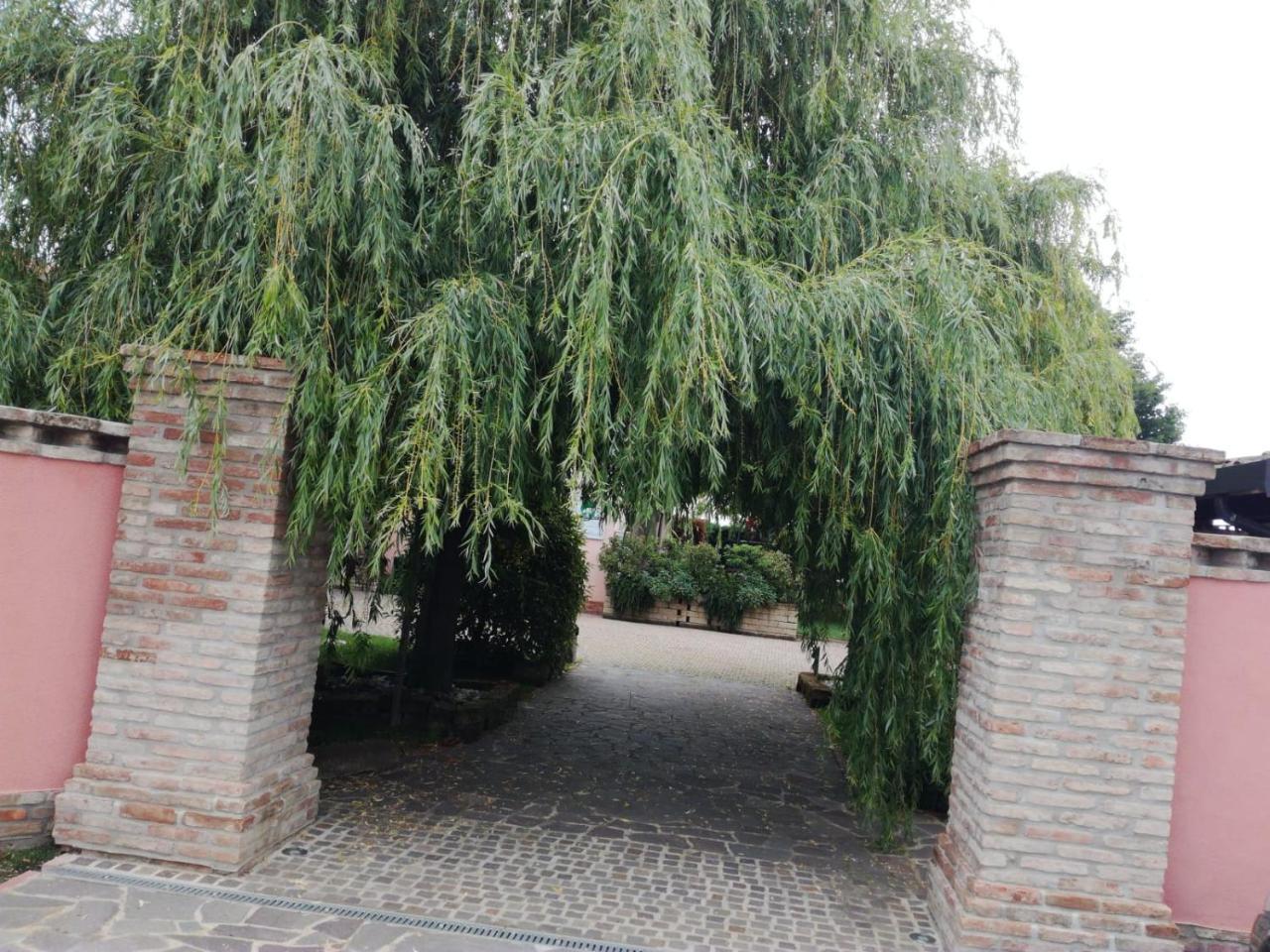 Villa Agriturismo Ferretti Massa Lombarda Exterior foto